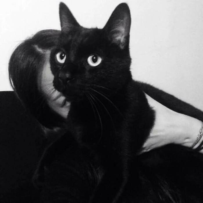 有没有女孩 猫咪的头像? - 知乎