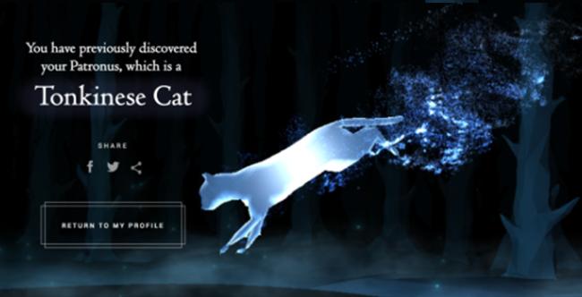 wizardingworld翻译最受欢迎的守护神排行榜