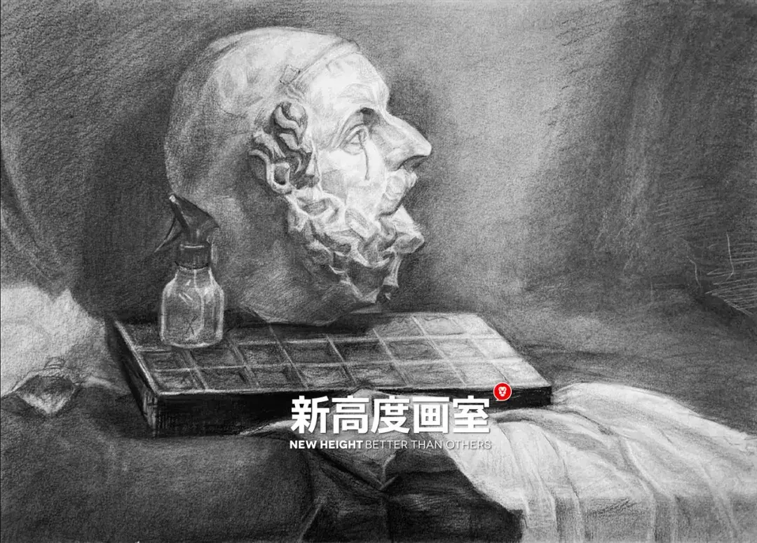 齐文睿王诺王庆川万柏懿王禹博王圳夏佳禾管锌瑶李骆熹刘思涵魏铭鑫