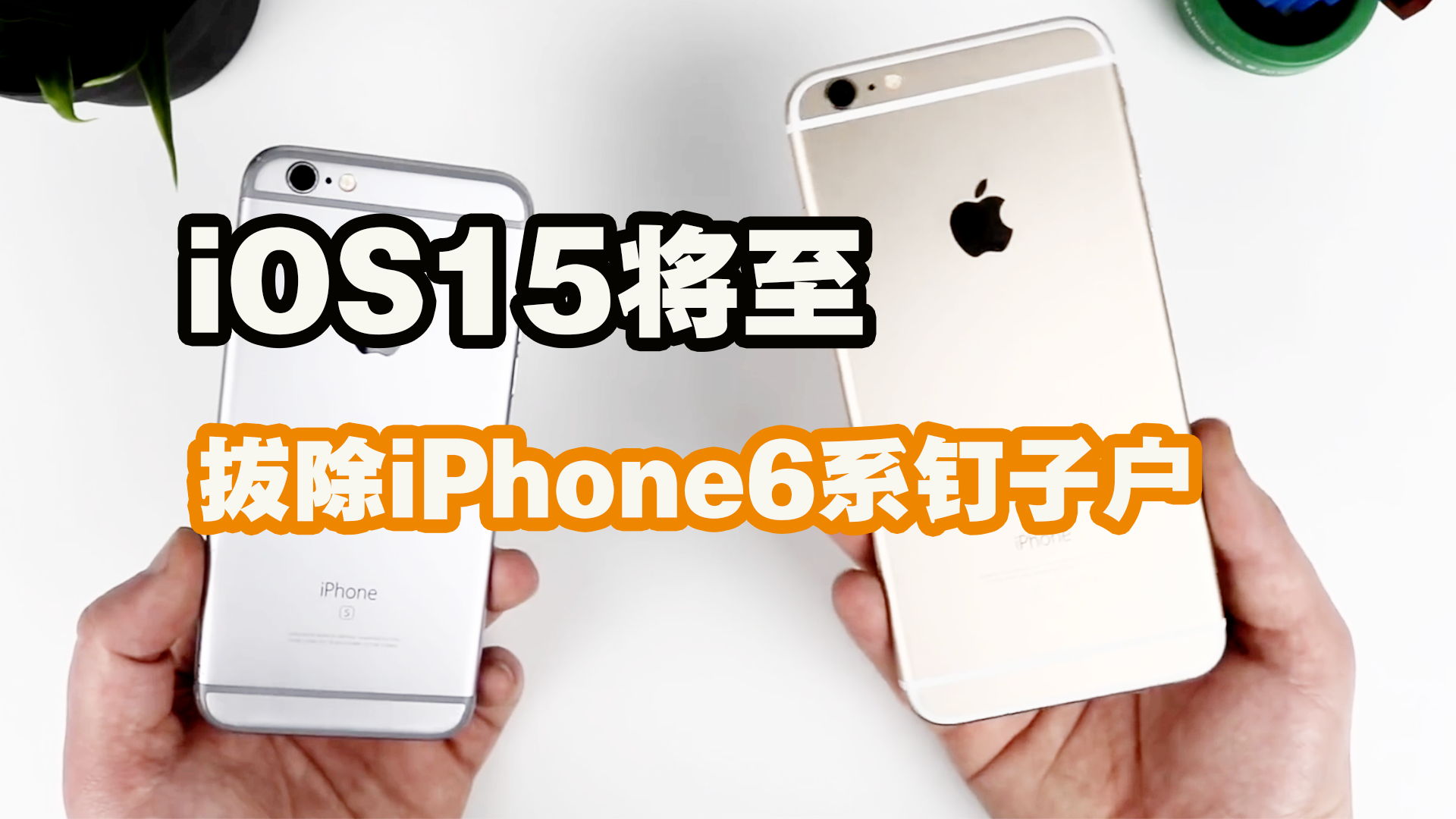 iphone6splus壁纸 可爱图片