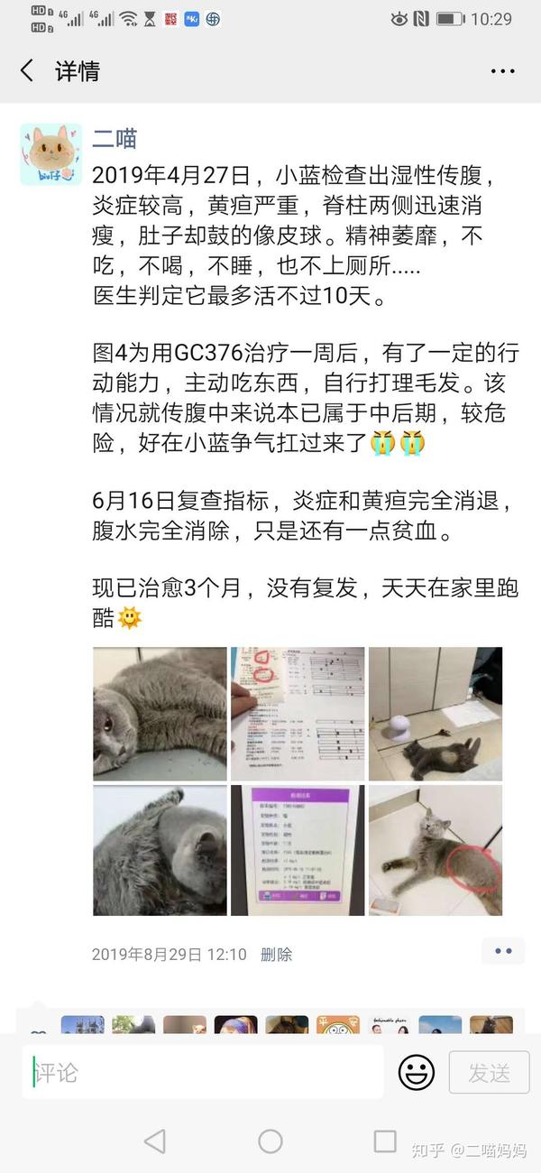 猫咪腹水是什么症状？_猫腹水摸起来什么感觉- 茶文网