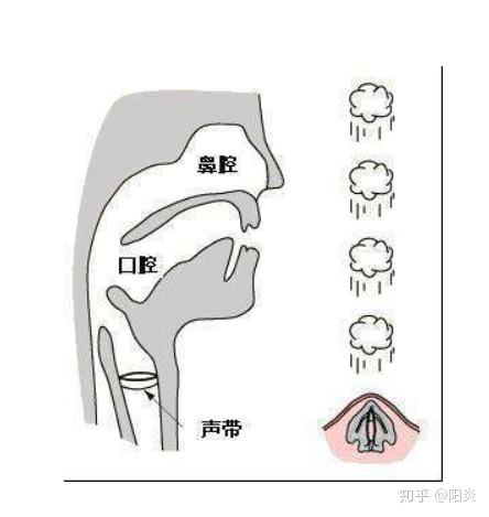 唱歌口腔状态图解图片