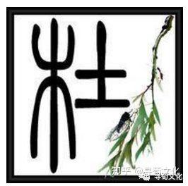 杜-汉字的艺术与中华姓氏文化荀卿庠整理 - 知乎