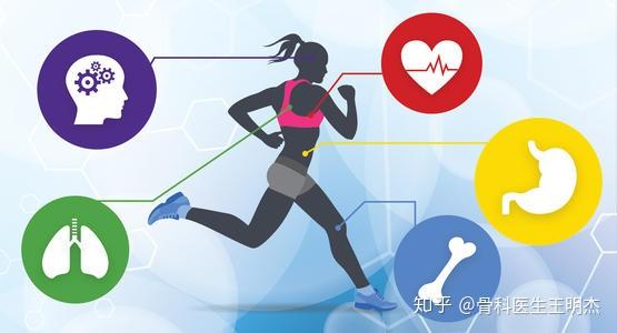 恐动症对腰痛患者康复的影响 - 知乎