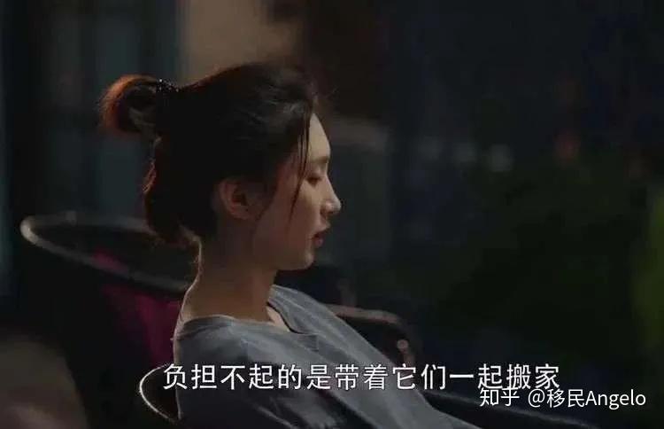 《三十而已》大结局曝光 v2-b637a8a1bb0c5fb3ee99cb852139afbc_r.jpg