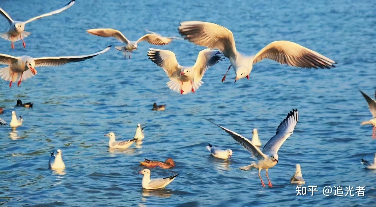 深圳旅行攻略｜来深圳最值得去的8个地方 - 知乎