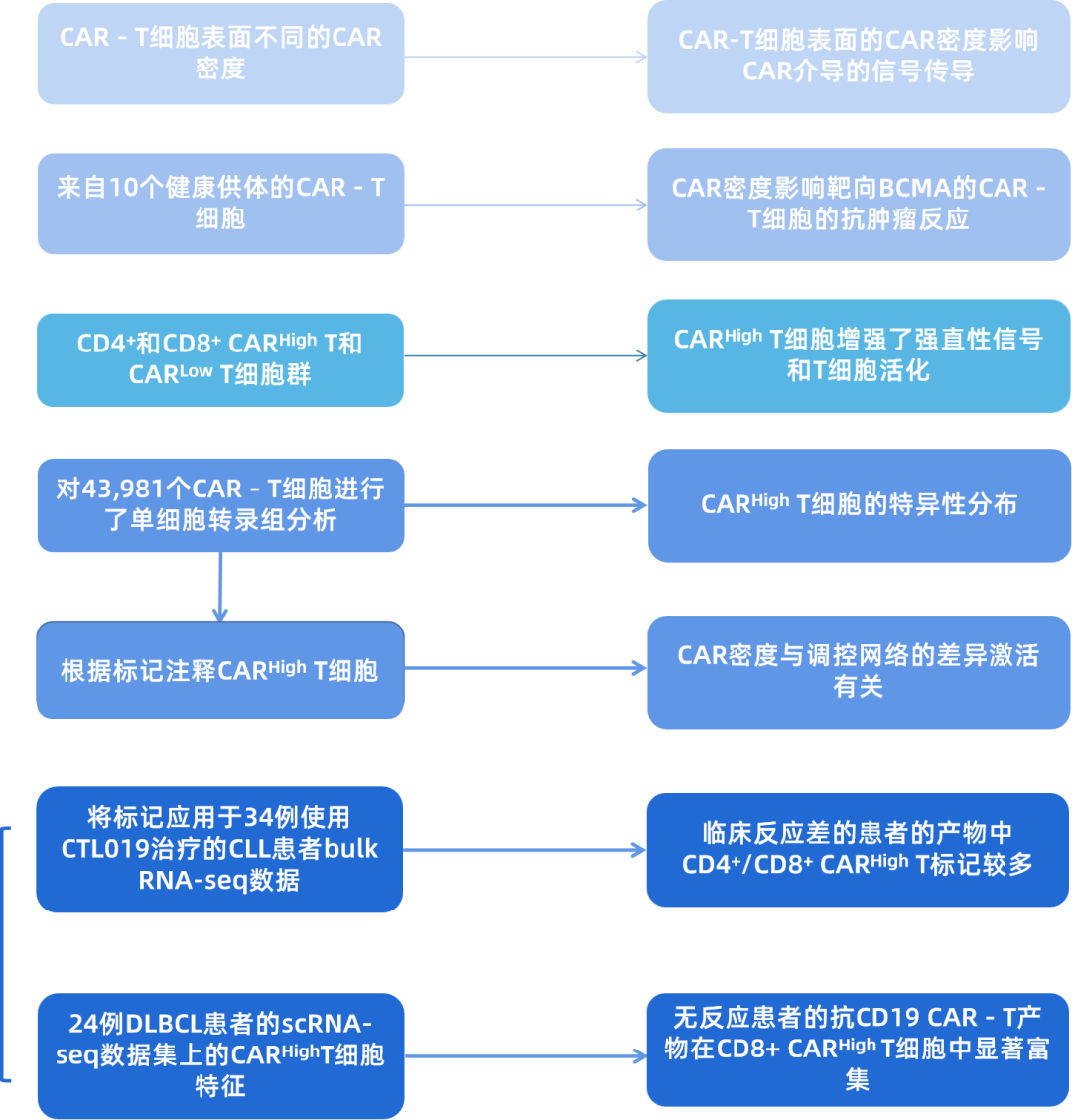 CAR技术的传承：CAR-T、CAR-NK、CAR-NKT、CAR-M、CAR-Treg - 四川省医药保化品质量管理协会