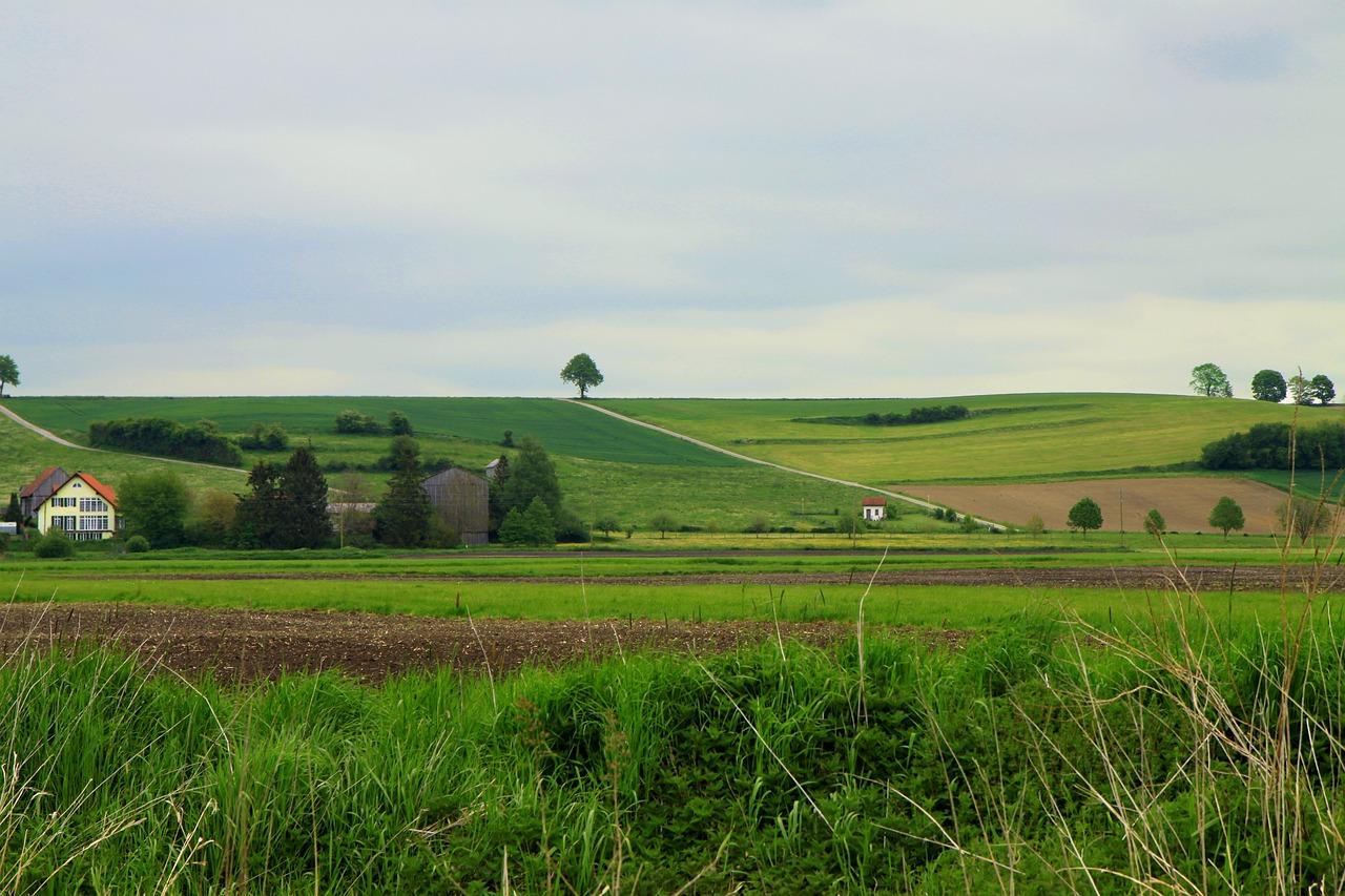 3. 购房条件梳理