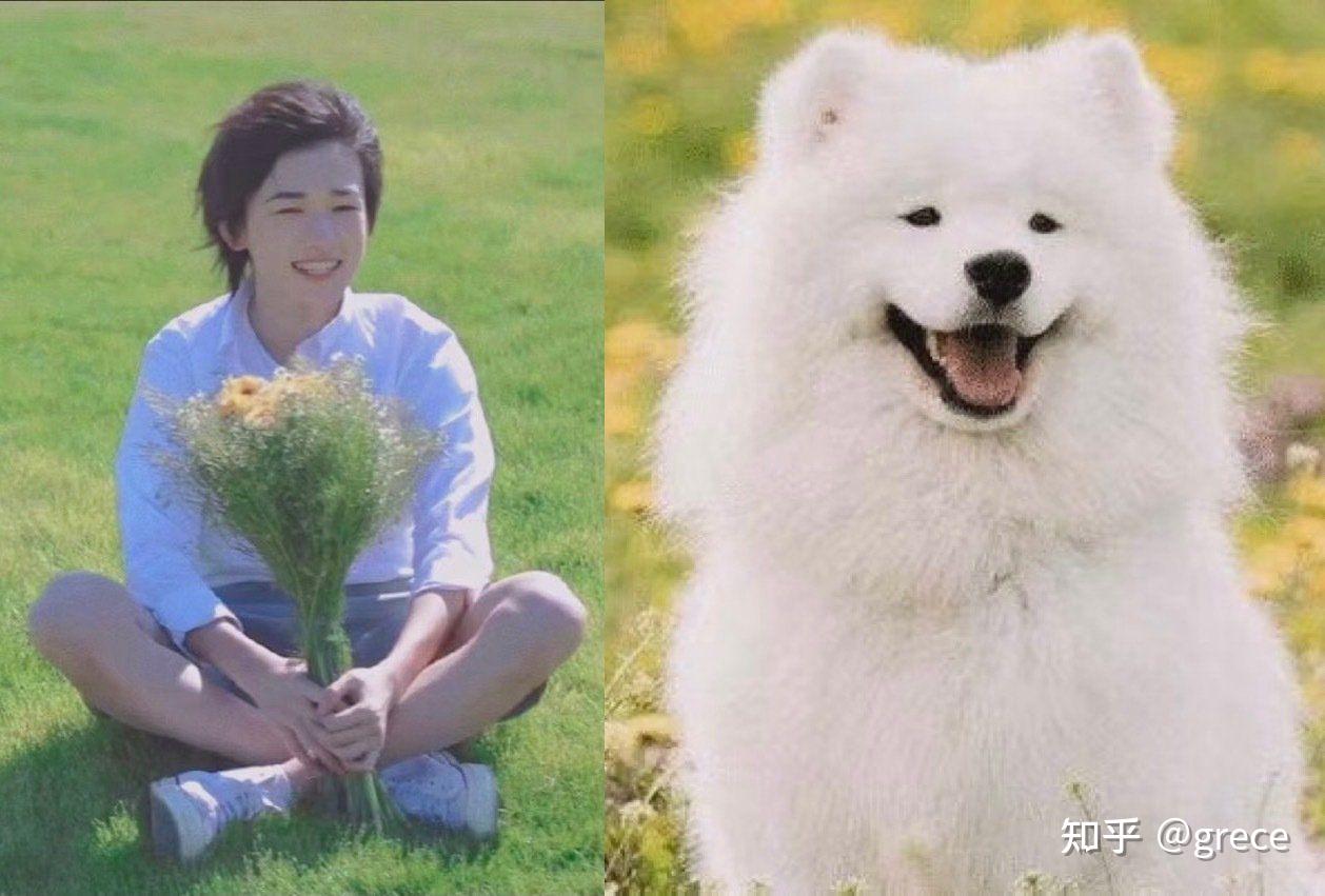 有没有姐妹发一下时代少年团的神仙图片啊三代也团偏46753
