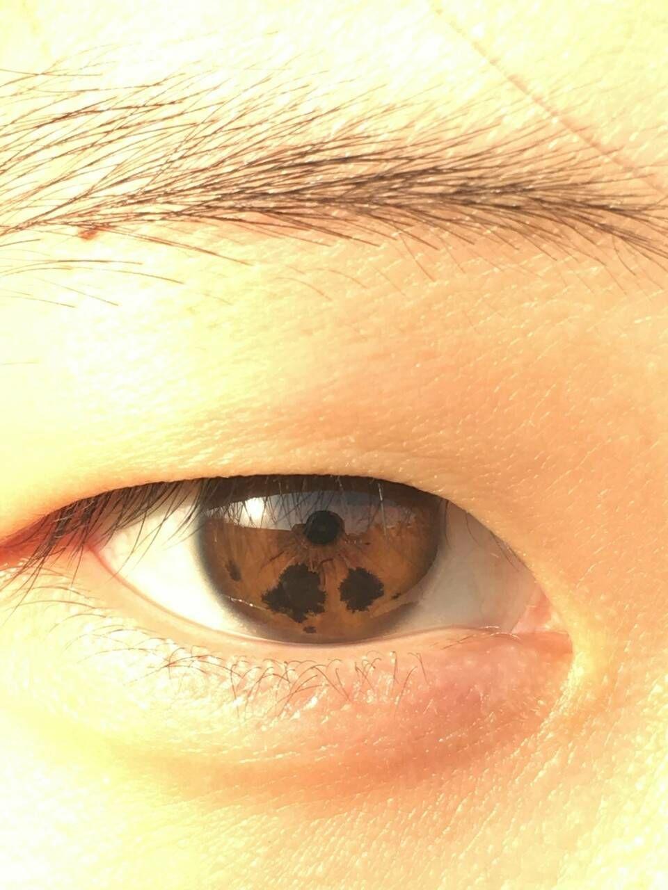 重瞳的眼里是什么样的世界