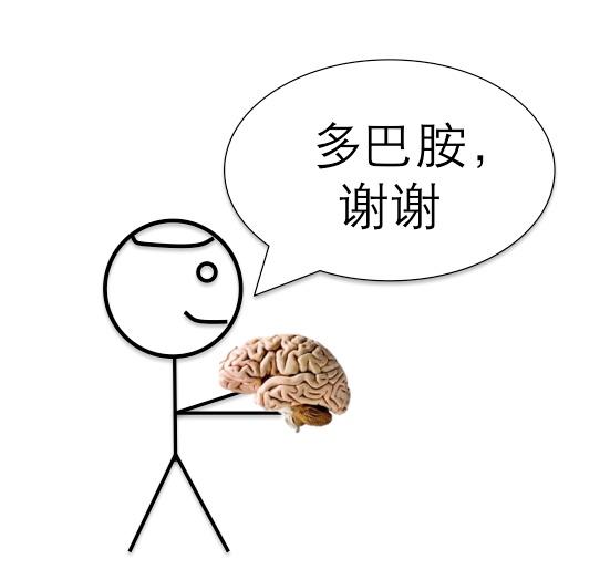 多巴胺,在神经系统中传递兴奋信号,也可以提高体内的肾上腺素量.