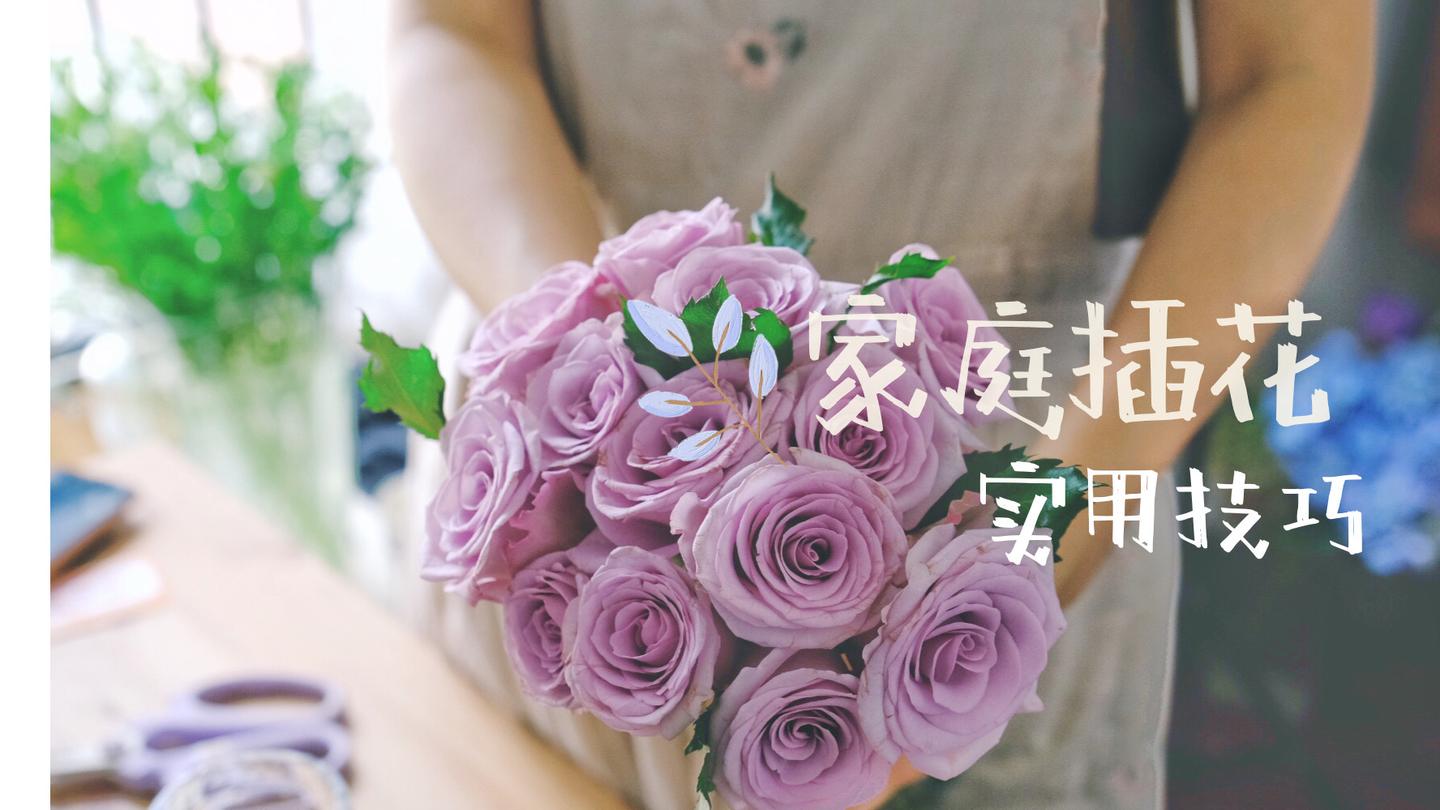 花艺实验室vol 2 花瓶插花小技巧 1 2种花材也能插的很好看 知乎 花艺实验室vol 2 花瓶插花小技巧 1 2种花材也能插的很好看 知乎