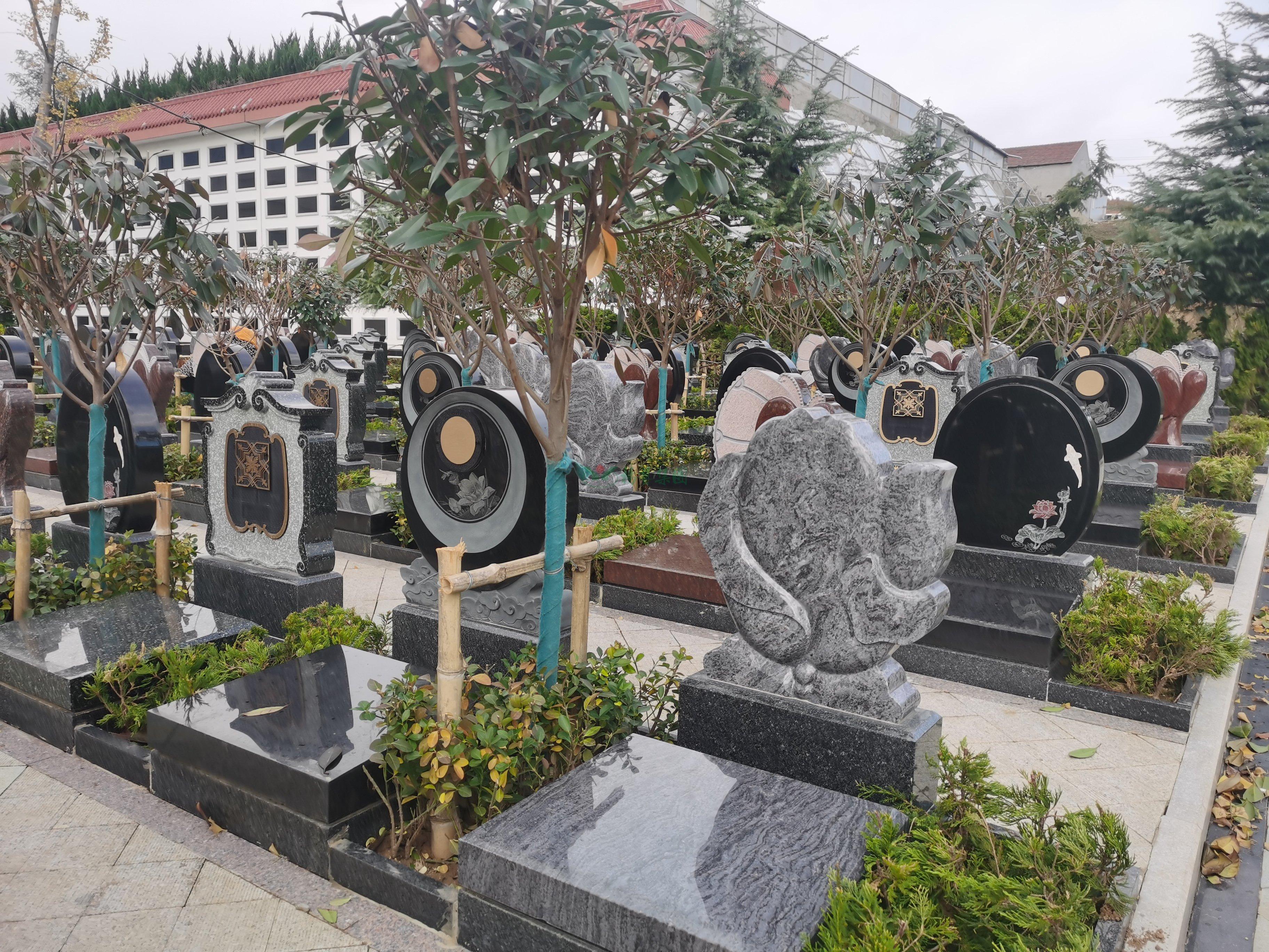 监理单位和威海市金山公墓一起组织专