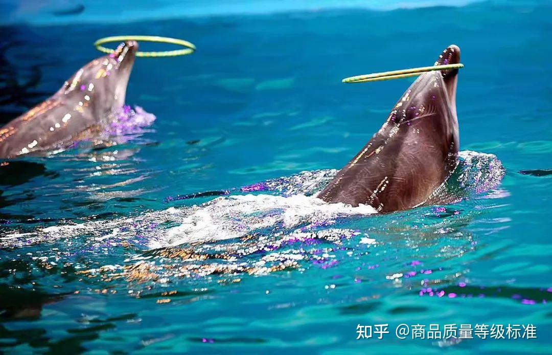 去海南陵水旅游吃什么美食｜海南陵水所有美食一篇看完｜陵水本地人一天都吃什么 - 知乎