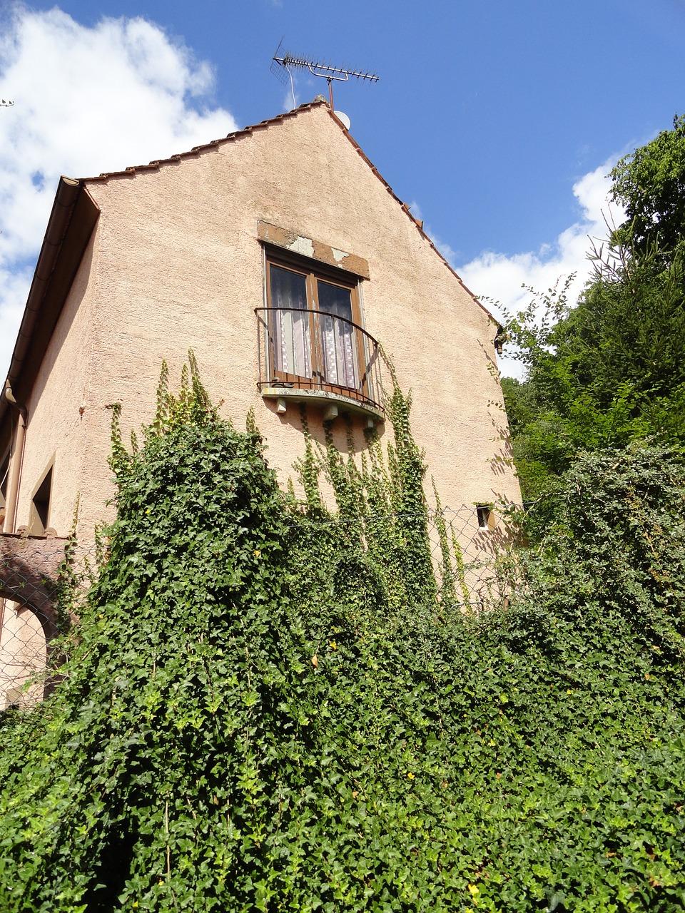 稀缺学区房推荐