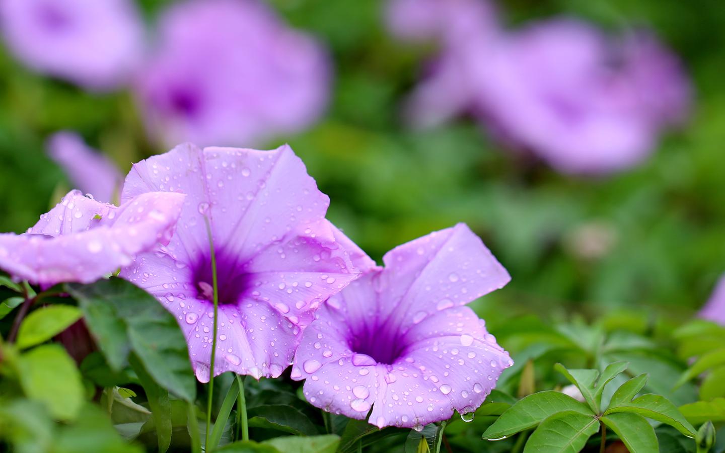 太可怕了 车内竟然有个 无影杀手 知乎