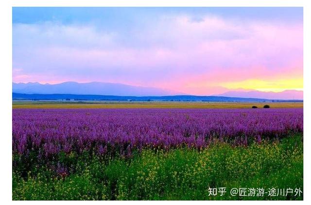 旅游产业发展大会_旅游产业发展大会策划方案_第四届中国旅游产业发展年会