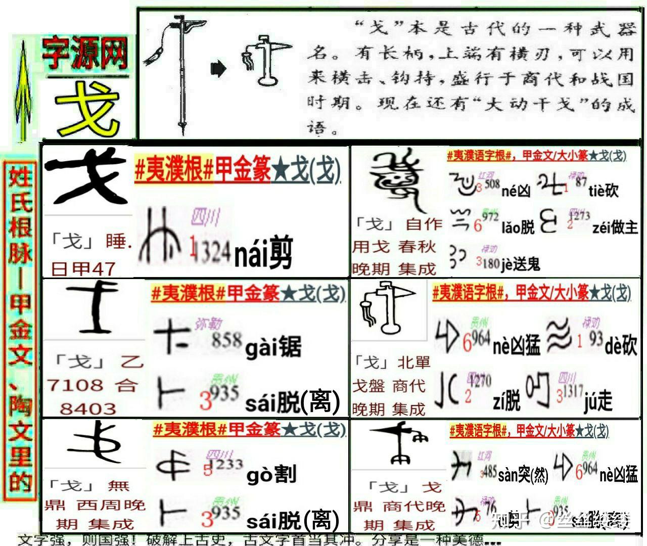 骨的演变过程图片图片