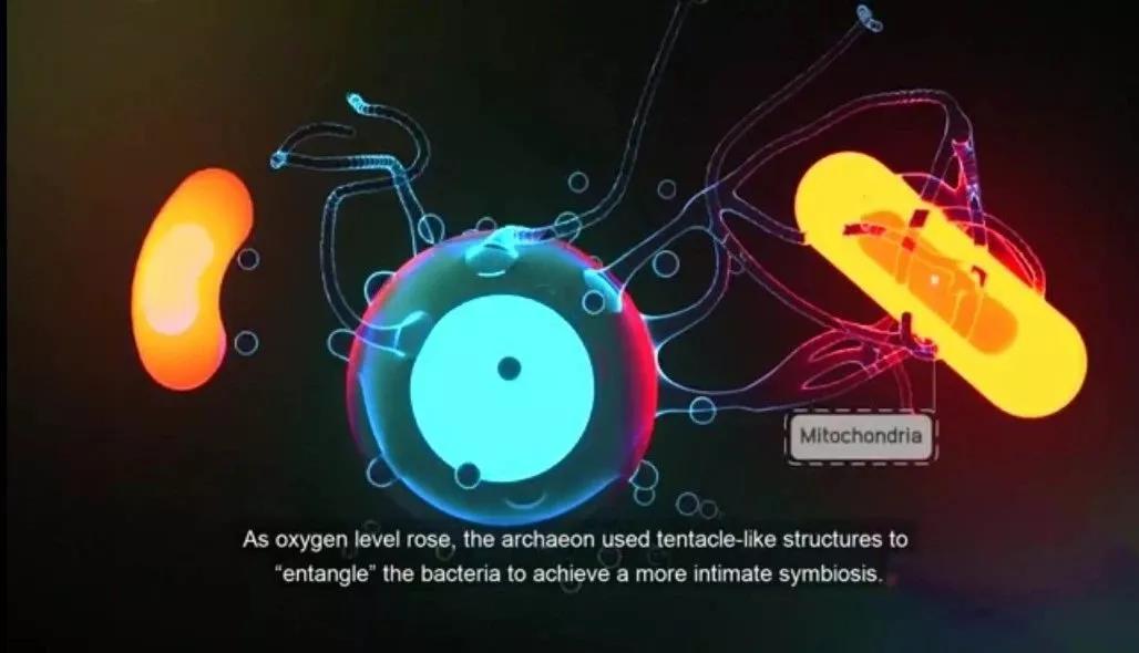 神秘古菌,揭示生物起源 - 知乎