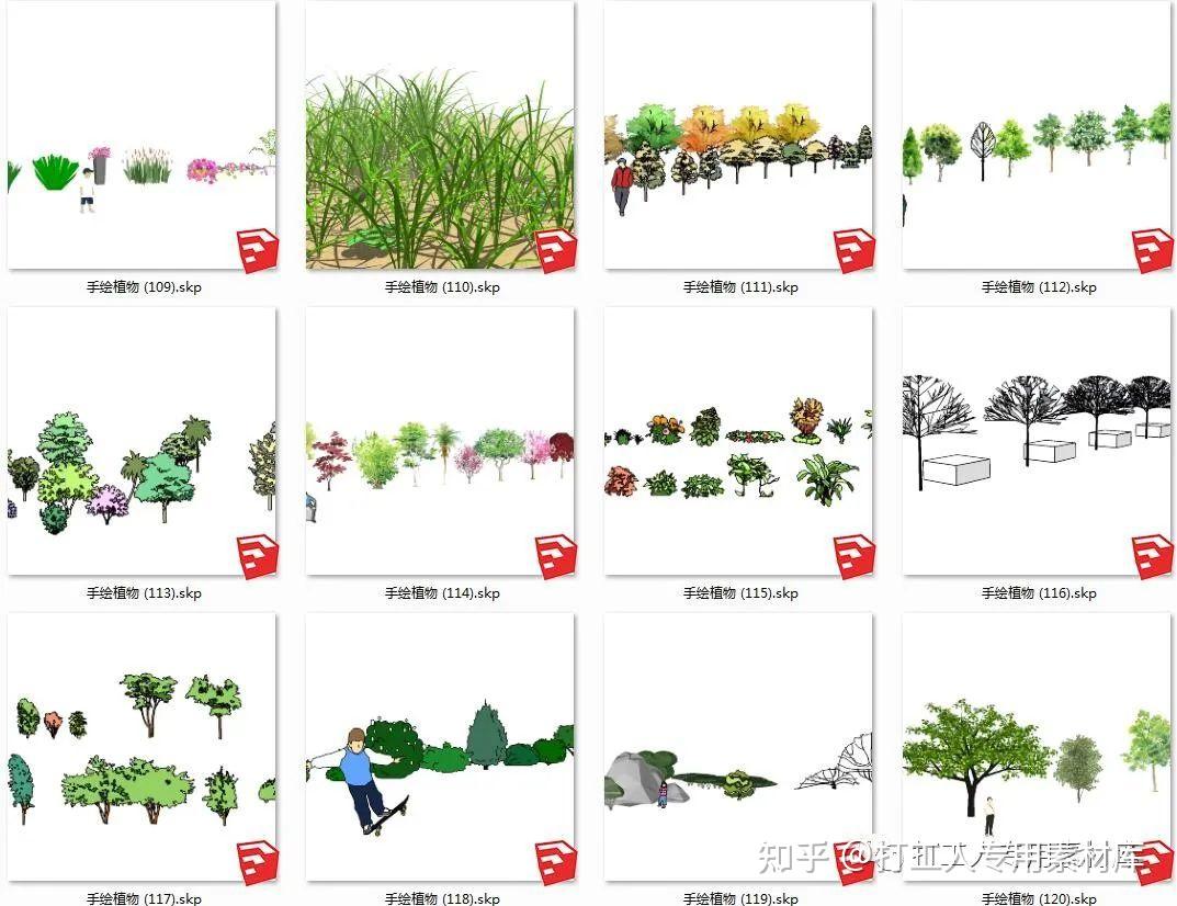 灌木植物平面景观绿化带图片素材免费下载 - 觅知网
