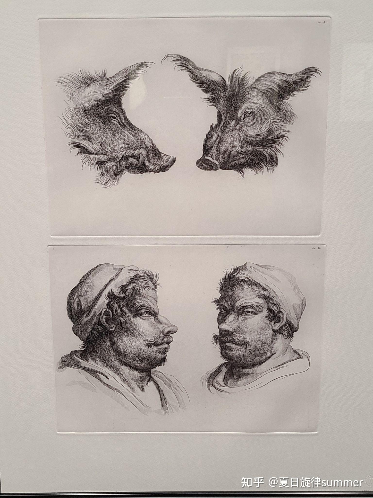 “雕撰的辉煌——法国卢浮宫版画工坊收藏展”3 亚历山大出征印度和人体骨骼画 - 知乎