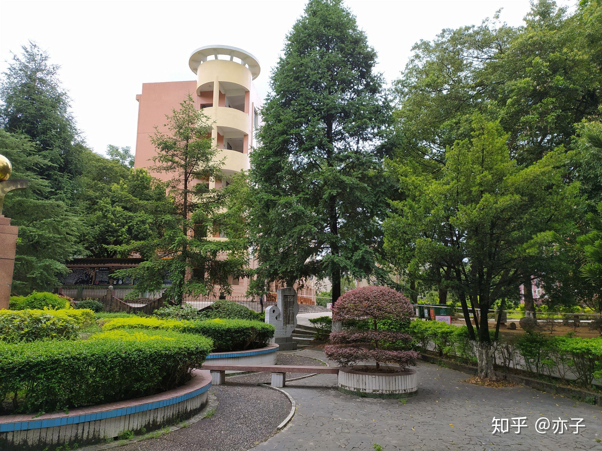 在昭平中学就读是怎样的感受?