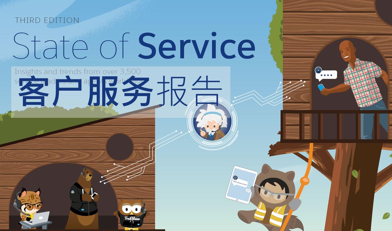 譯體驗salesforce客戶服務報告