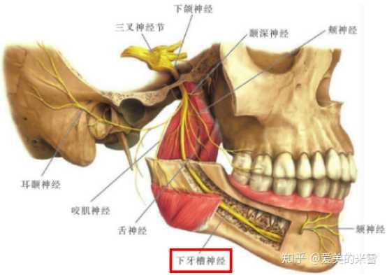 v2-b695c1cb15135125da457c7cb23b1cd4_r.jpg