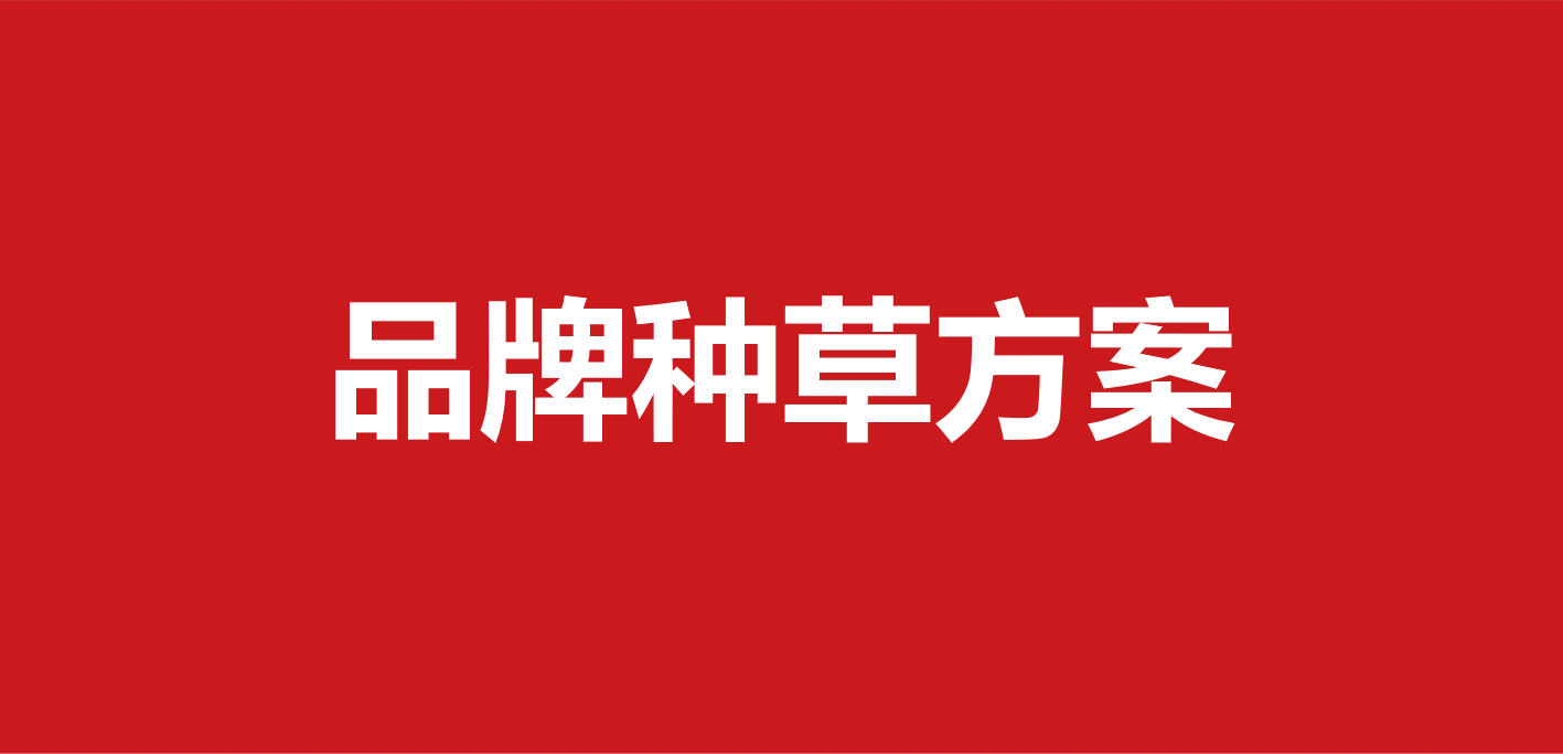 具體如下:品牌種草,推廣傳播,媒介投放,平臺種草,電商種草,活動規劃