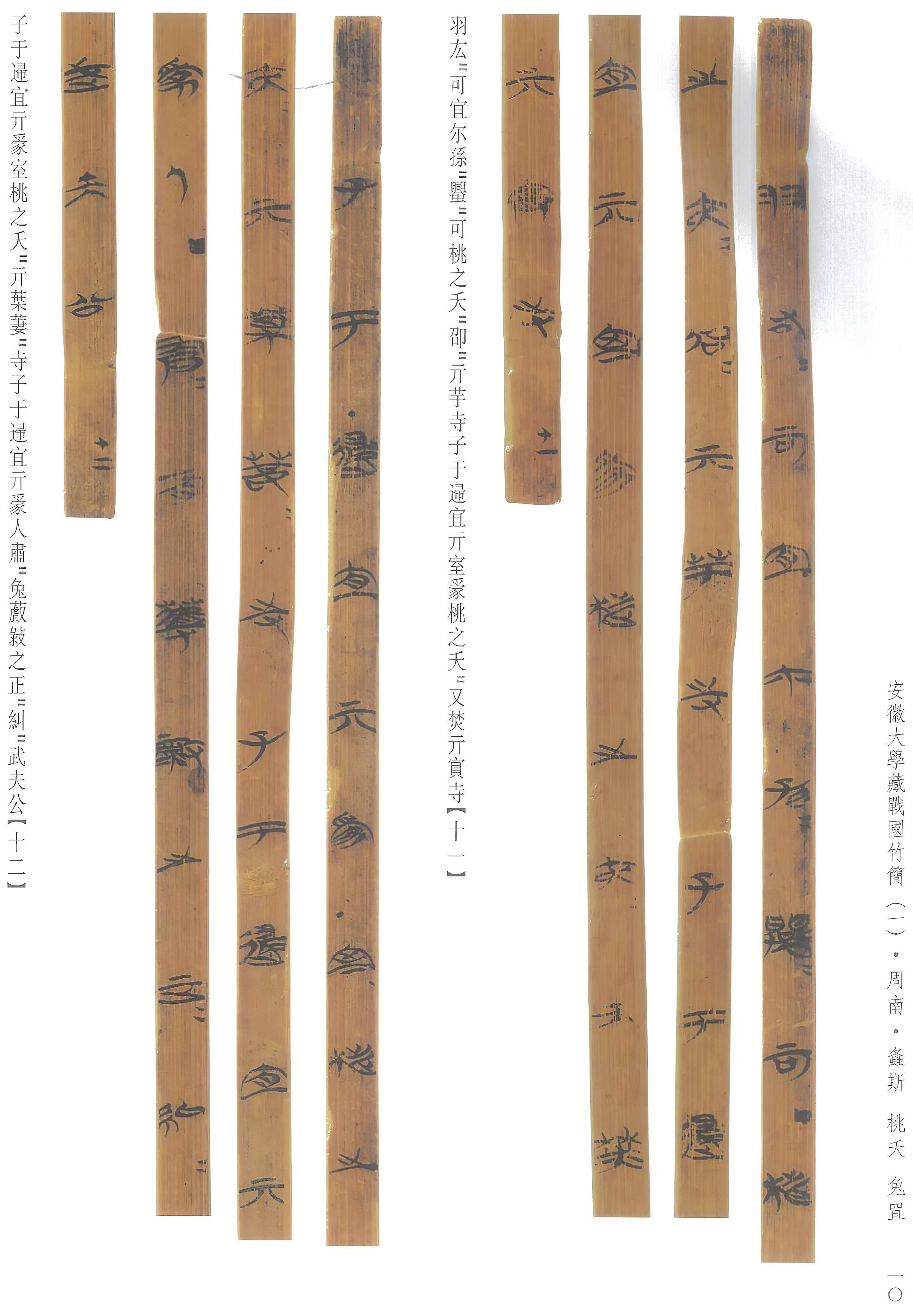 安大简诗经64国风64周南兔罝