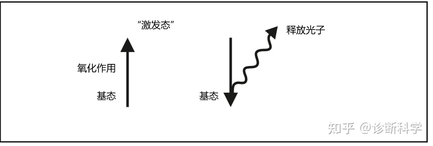 技术 | 一文读懂化学发光免疫测定 - 知乎