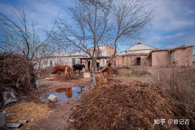 曾记否，中国文化中的乡土意识与情怀 - 知乎