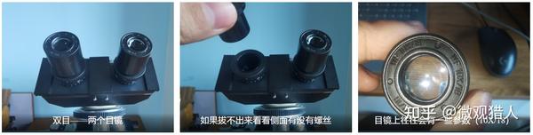 显微基础丨④目镜、观察头以及摄影 - 知乎