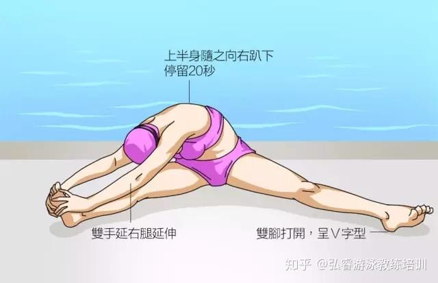 游泳前热身动作图片