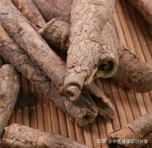 每天了解一味中药——利水渗湿药——香加皮 - 知乎