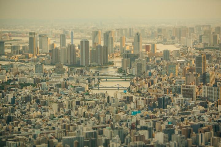 认知：城市的内生逻辑 - 知乎