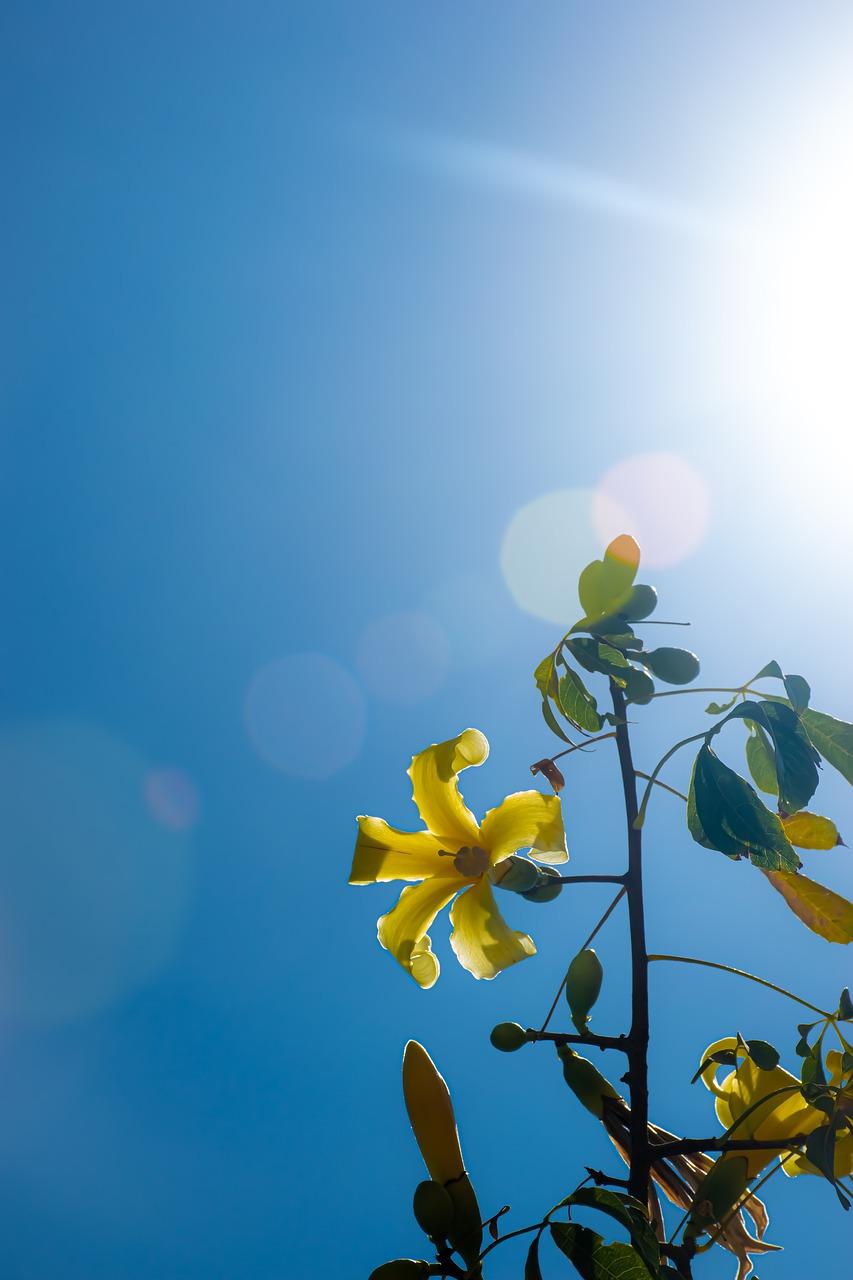 室内照明亮丽宜人