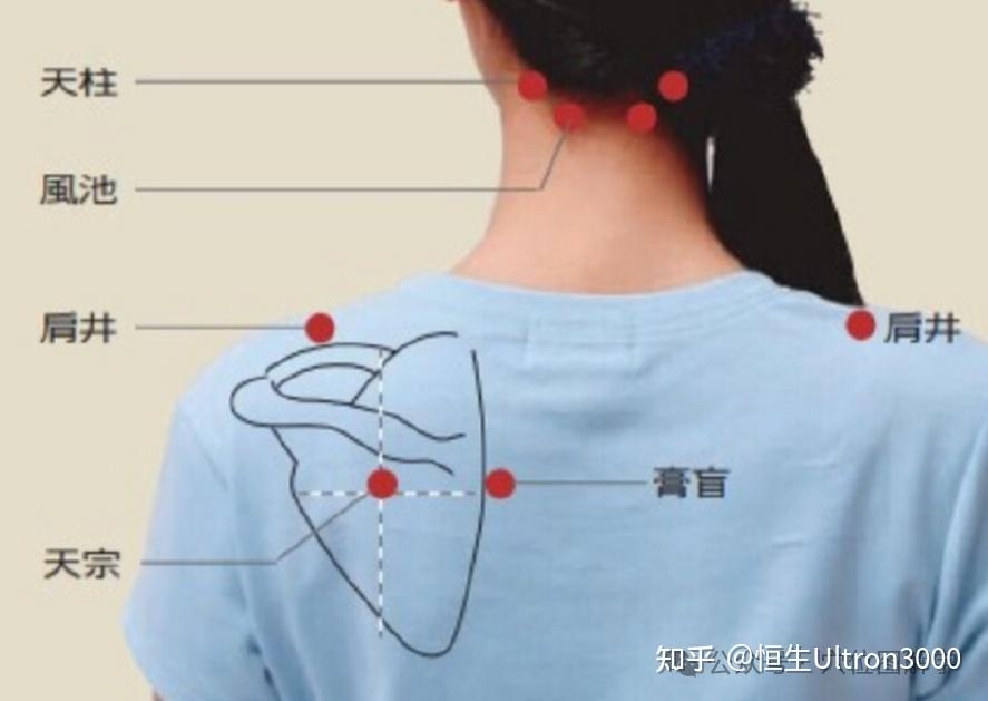 一天一个保健穴位:天宗穴 - 知乎