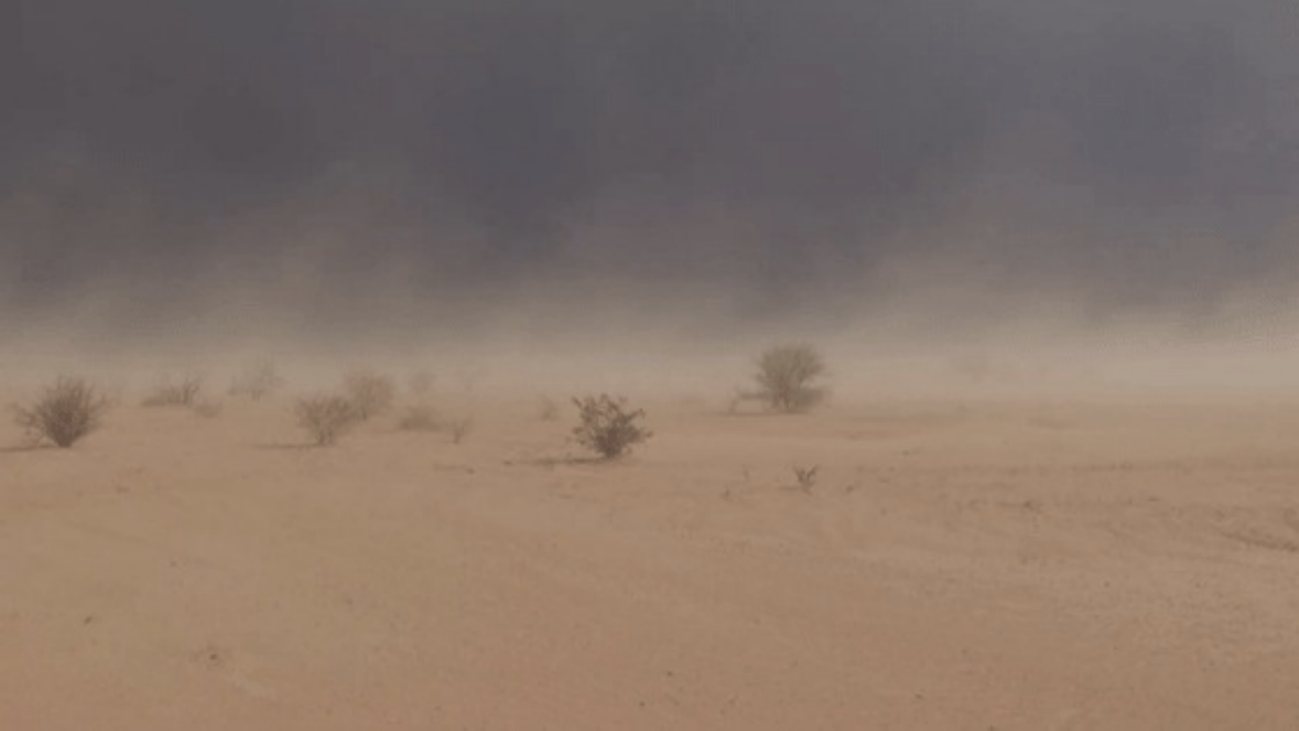 人在濒临死亡的时候会感觉不到疼痛吗?