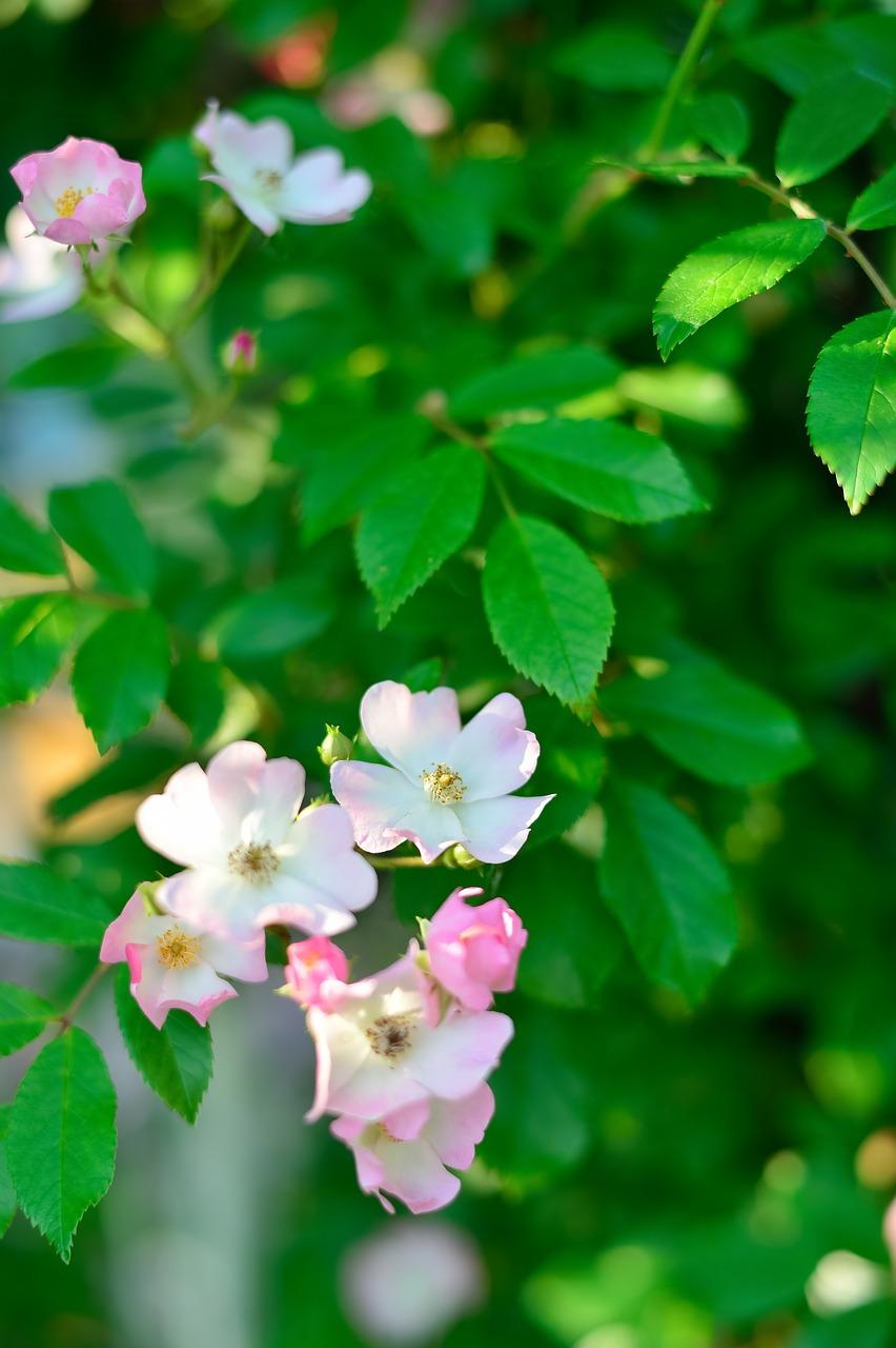 3. 户型结构解析