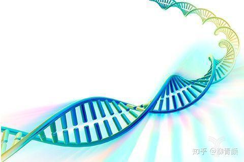 31.什么是遗传信息? 什么是遗传密码或密码子?遗传信息是dna(基因)的脱氧核