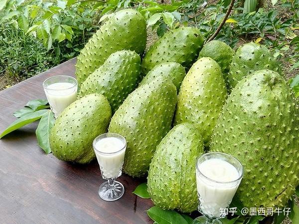 刺果番荔枝(Guanábana) - 知乎