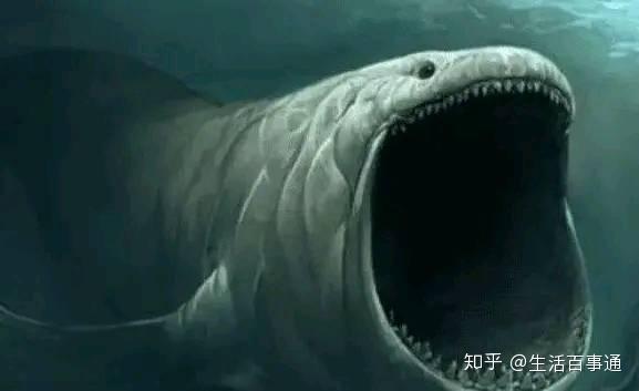 蜗牛人是啥样的 v2-b6f5e3989d59d589e3881b32175f7e10_r.jpg