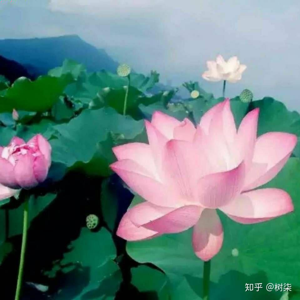 有没有很土或者特别的微信头像和签名看到第一眼就不想加的那种