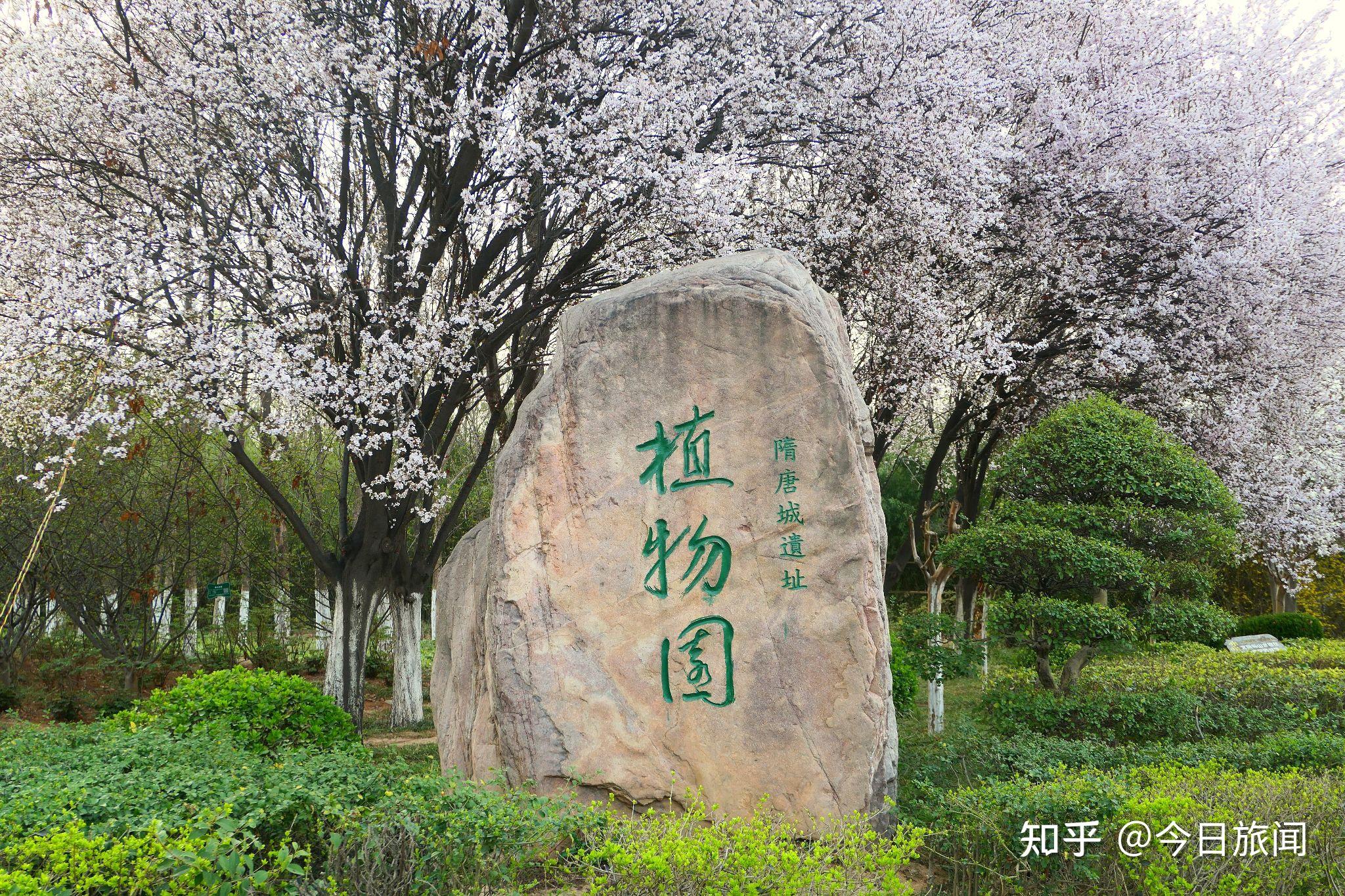 DX6440隋唐城遗址植物园随拍14片，2015-中关村在线摄影论坛
