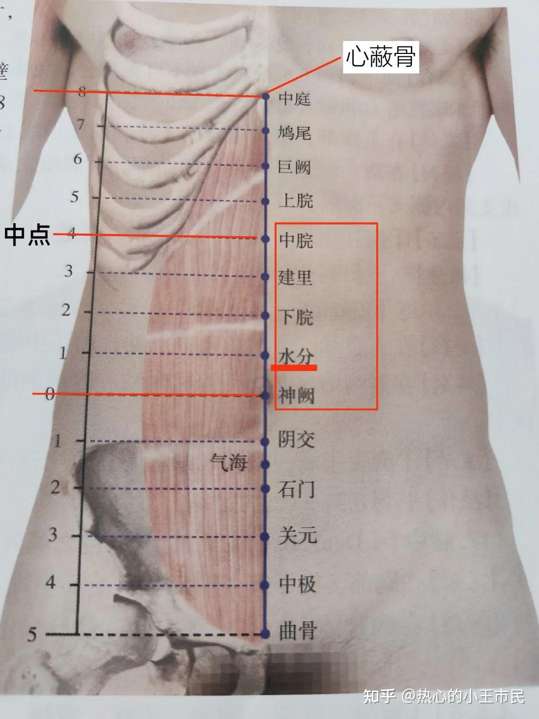 倪海厦《针灸》笔记2-1：任督脉与经络腧穴中 - 知乎