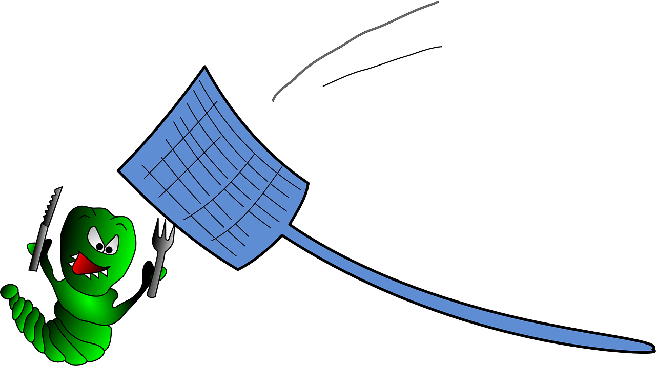 金刚菩提子怎么看瓣数