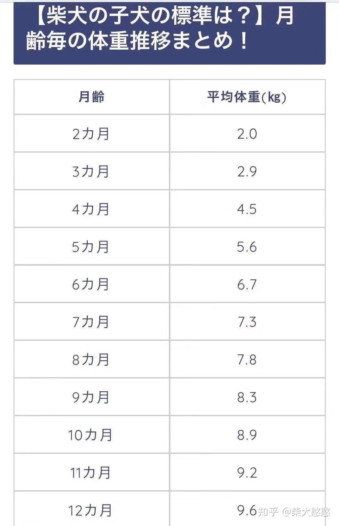 柴犬食量对照表体重图片