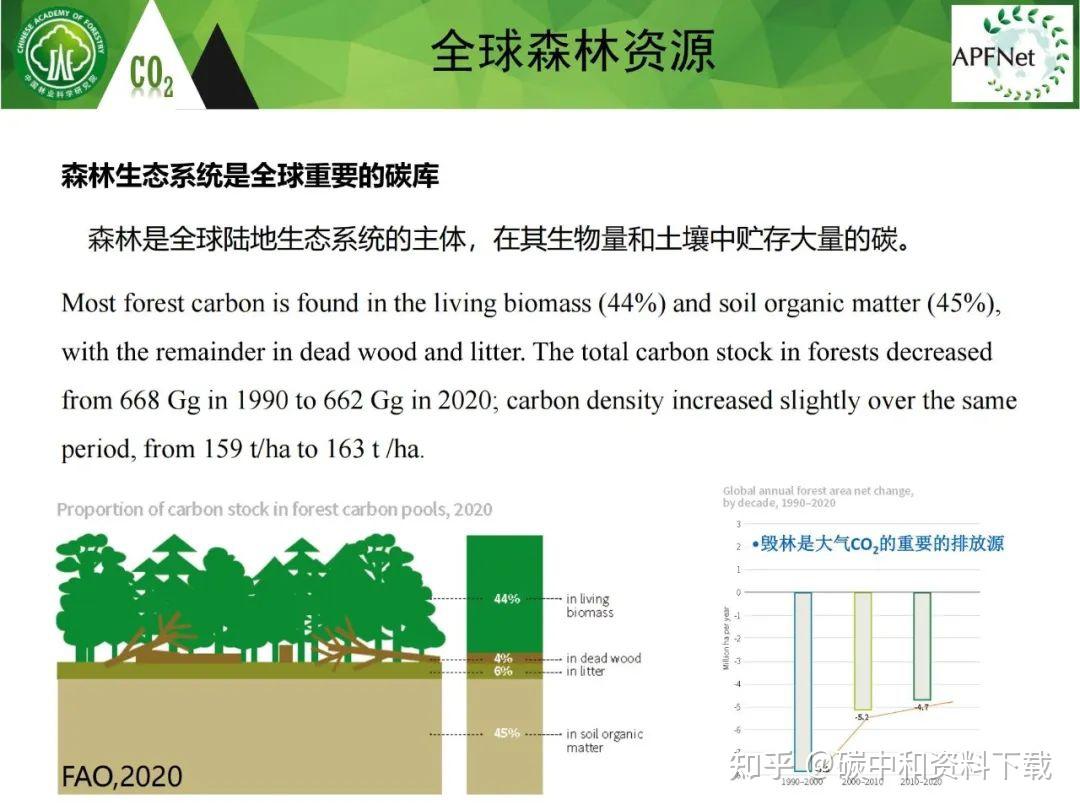 国际碳汇林标准图片