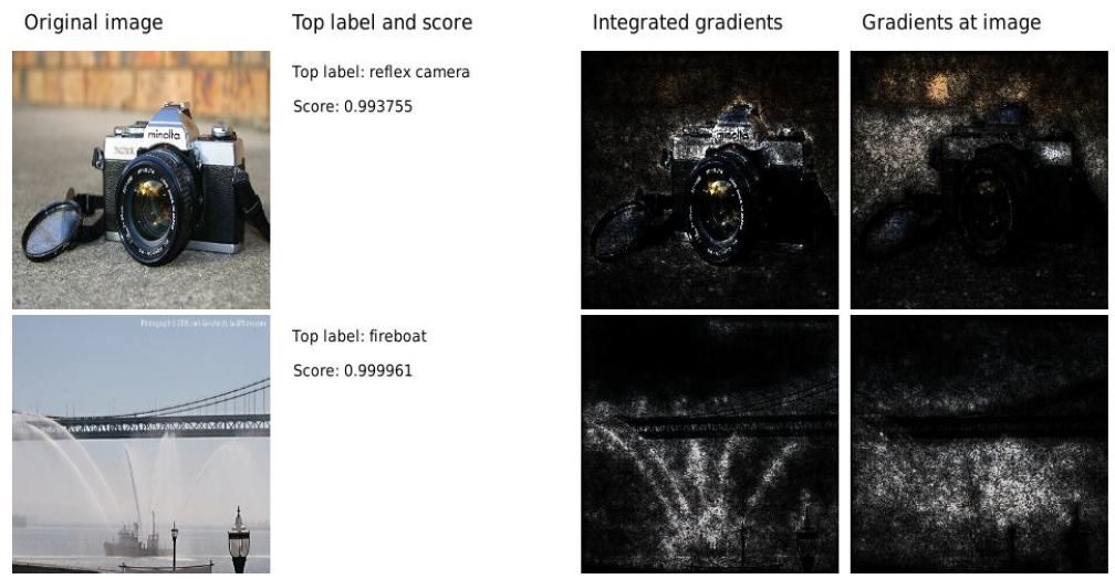 算法框架-模型可解释性-IG/LIME(一) - 知乎